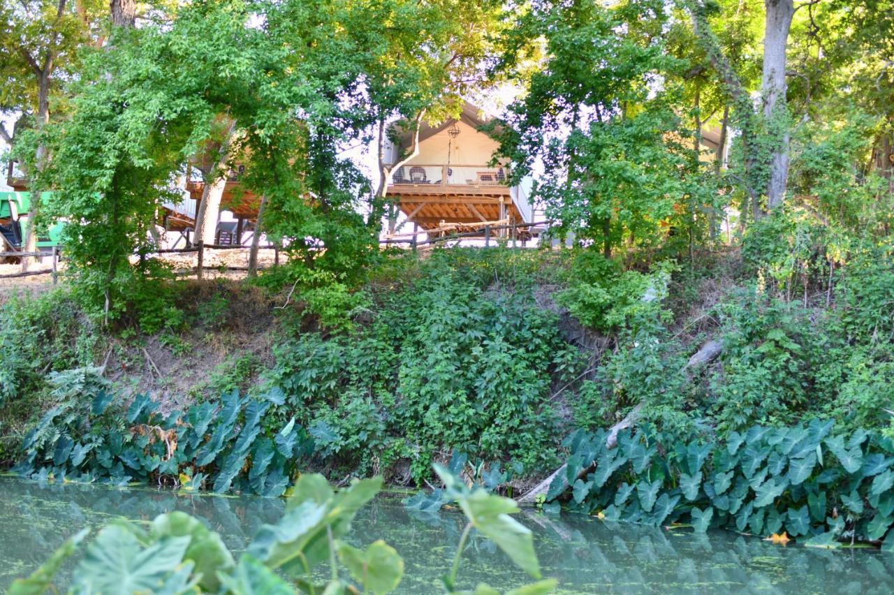 Son'S Rio Cibolo Birdhouse Cabin #10 Romantic Water Front Cabins Surrounded By Nature! Marion Exteriör bild